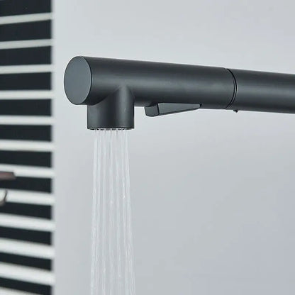 Matte Black Pull Out Kitchen Sink Faucet Two Model